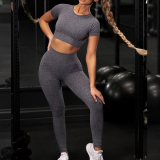 Seamless Yoga Sport Two Pieces Set (Include Top and Pants)