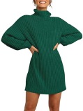 Winter New Fashion Women's High Neck Mid-length Sweater Sweater Dress