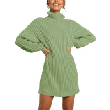 Winter New Fashion Women's High Neck Mid-length Sweater Sweater Dress