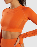 Fitness Yoga Sports Suit High Waist Sports Pants and Yoga Fitness Long Sleeve T-shirt S-L