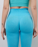 Woman Summer Seamless Fitness Peach Hip Yoga Pants Sports Vest Two-Piece Suit S-L