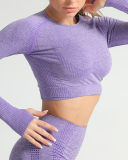 Multi Color Seamless Knitted Gym Sports Running Fitness Gather Yoga Top Long Sleeve S-L