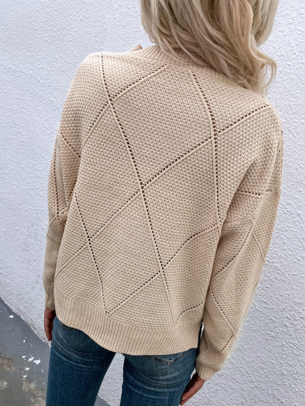 Casual Lady Fashion Crewneck Long Sleeve Apricto Sweater