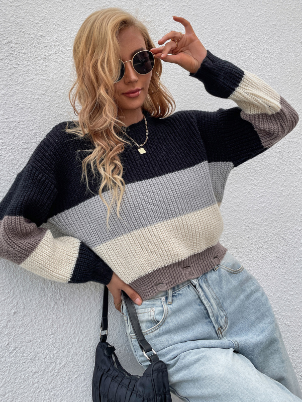 Lady Colorblock Fashion Crewneck Long Sleeve Sweater