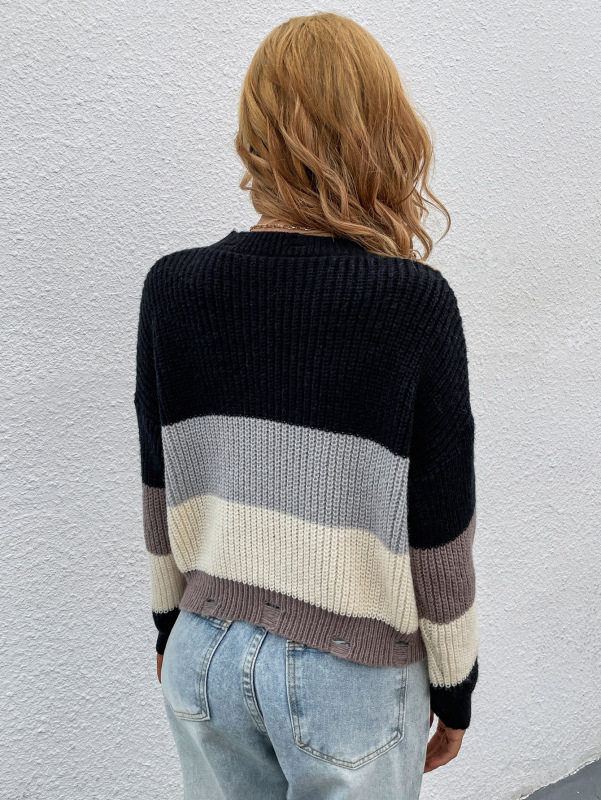 Lady Colorblock Fashion Crewneck Long Sleeve Sweater