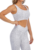 Python Print Yoga Set Crossover High Waist Gym Pants Sports Bra Two Piece S-XXL