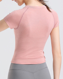 Quick Drying Short Sleeve Fitness Women Yoga Tops