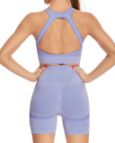 Open Back Gym Sporty Two Piece Yoga Set Active wear S-XL