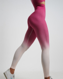 Women High Waist Seamless Gradient Sports Leggings (With Pad) S-L