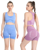 Women Sports Seamless Workout Yoga Two-piece Short Sets S-L