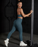 Women Solid Color Halter Neck Bra Slim Yoga Two-piece Pants Sets S-L