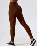 Seamless Ribbed Knit Quick Dry High Waist Gym Outfit Yoga Pants Leggings S-L