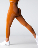 Women High Waist Slim Seamless Yoga Legging S-L