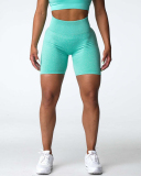 Women High Waist Hips Lift Yoga Sports Shorts S-L