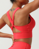 Woman V-Neck Yoga Fitness Shockproof Pad Sports Bra S-XL