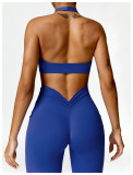 OEM Factory Add Logo Quickly Dry Halter Neck Fitness Sports Bra S-XL