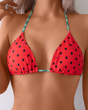 Watermelon Printed Cute Girl Sexy Bikini Set S-L