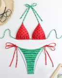Watermelon Printed Cute Girl Sexy Bikini Set S-L