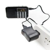 PRUNUS 5V1A USB DC Adapter with Indicator Light, Perfect for Radio, Speaker with Rechargeable Lithium Battery (5V/1A, Black)