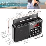 PRUNUS L-238 Portable Radio SW/FM/AM(MW)/MP3/USB/SD/TF Rechargeable with Neodymium Speaker. Large Button and Large Display. Stores Stations Automatically(Gold). (NO Manual Memory/Delete Stations Function)