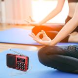 PRUNUS L-238 Portable Radio SW/FM/AM(MW)/MP3/USB/SD/TF Rechargeable with Neodymium Speaker. Large Button and Large Display. Stores Stations Automatically(Gold). (NO Manual Memory/Delete Stations Function)