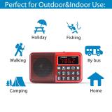 PRUNUS L-238 Portable Radio SW/FM/AM(MW)/MP3/USB/SD/TF Rechargeable with Neodymium Speaker. Large Button and Large Display. Stores Stations Automatically(Gold). (NO Manual Memory/Delete Stations Function)