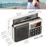 PRUNUS L-238 Portable Radio SW/FM/AM(MW)/MP3/USB/SD/TF Rechargeable with Neodymium Speaker. Large Button and Large Display. Stores Stations Automatically(Gold). (NO Manual Memory/Delete Stations Function)