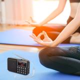 PRUNUS L-238 Portable Radio SW/FM/AM(MW)/MP3/USB/SD/TF Rechargeable with Neodymium Speaker. Large Button and Large Display. Stores Stations Automatically(Gold). (NO Manual Memory/Delete Stations Function)