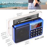 PRUNUS L-238 Portable Radio SW/FM/AM(MW)/MP3/USB/SD/TF Rechargeable with Neodymium Speaker. Large Button and Large Display. Stores Stations Automatically(Gold). (NO Manual Memory/Delete Stations Function)