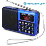 PRUNUS L-238 Portable Radio SW/FM/AM(MW)/MP3/USB/SD/TF Rechargeable with Neodymium Speaker. Large Button and Large Display. Stores Stations Automatically(Gold). (NO Manual Memory/Delete Stations Function)
