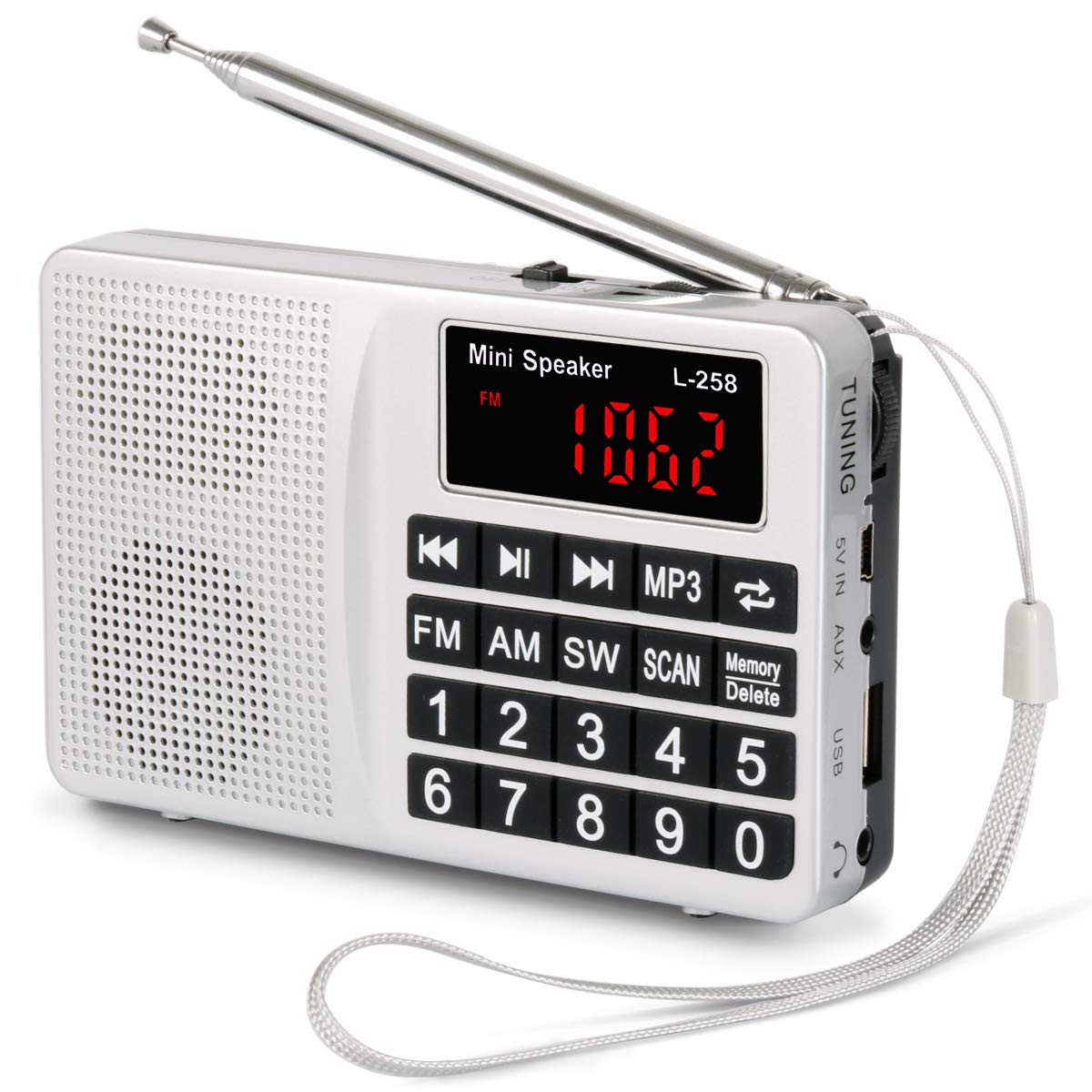 easycare Portable Mini AM FM Radio Clear Speaker Music Player L-258 Black 