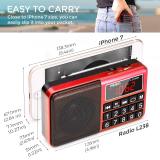 PRUNUS L-238 Portable Radio SW/FM/AM(MW)/MP3/USB/SD/TF Rechargeable with Neodymium Speaker. Large Button and Large Display. Stores Stations Automatically(Gold). (NO Manual Memory/Delete Stations Function)