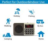 PRUNUS L-238 Portable Radio SW/FM/AM(MW)/MP3/USB/SD/TF Rechargeable with Neodymium Speaker. Large Button and Large Display. Stores Stations Automatically(Gold). (NO Manual Memory/Delete Stations Function)