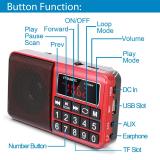 PRUNUS L-238 Portable Radio SW/FM/AM(MW)/MP3/USB/SD/TF Rechargeable with Neodymium Speaker. Large Button and Large Display. Stores Stations Automatically(Gold). (NO Manual Memory/Delete Stations Function)
