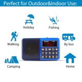 PRUNUS L-238 Portable Radio SW/FM/AM(MW)/MP3/USB/SD/TF Rechargeable with Neodymium Speaker. Large Button and Large Display. Stores Stations Automatically(Gold). (NO Manual Memory/Delete Stations Function)