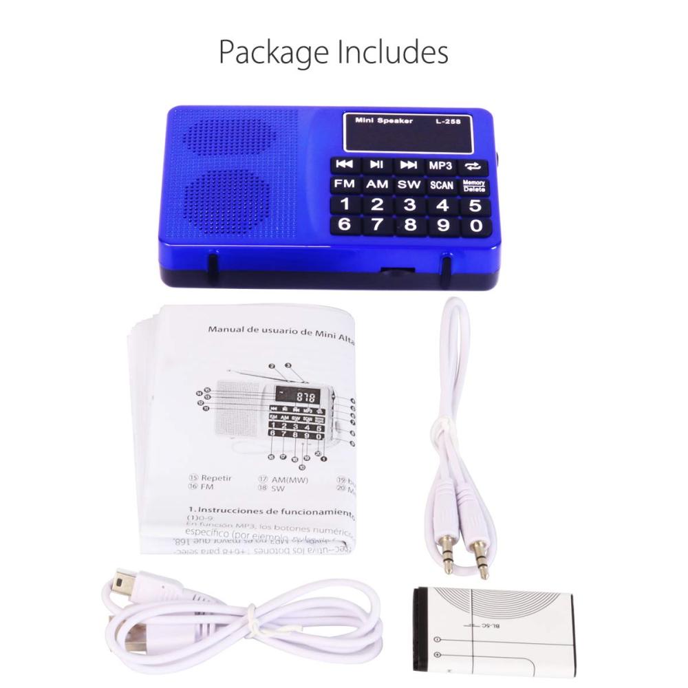 PRUNUS 429 Small Radio, Pocket Radio, AM FM Radios USB Charging, Large Button, Neodymium Speaker, Auto Save, USB Flash Drive, SD Card AUX Input MP3, Shortwave Radios For Elderly And Senior(Black