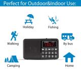 PRUNUS L-238 Portable Radio SW/FM/AM(MW)/MP3/USB/SD/TF Rechargeable with Neodymium Speaker. Large Button and Large Display. Stores Stations Automatically(Gold). (NO Manual Memory/Delete Stations Function)