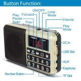 PRUNUS L-238 Portable Radio SW/FM/AM(MW)/MP3/USB/SD/TF Rechargeable with Neodymium Speaker. Large Button and Large Display. Stores Stations Automatically(Gold). (NO Manual Memory/Delete Stations Function)