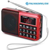 PRUNUS L-238 Portable Radio SW/FM/AM(MW)/MP3/USB/SD/TF Rechargeable with Neodymium Speaker. Large Button and Large Display. Stores Stations Automatically(Gold). (NO Manual Memory/Delete Stations Function)