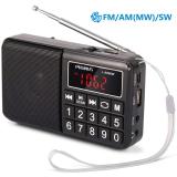 PRUNUS L-238 Portable Radio SW/FM/AM(MW)/MP3/USB/SD/TF Rechargeable with Neodymium Speaker. Large Button and Large Display. Stores Stations Automatically(Gold). (NO Manual Memory/Delete Stations Function)