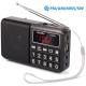 PRUNUS L-238 Portable Radio SW/FM/AM(MW)/MP3/USB/SD/TF Rechargeable with Neodymium Speaker. Large Button and Large Display. Stores Stations Automatically(Gold). (NO Manual Memory/Delete Stations Function)