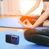 PRUNUS L-238 Portable Radio SW/FM/AM(MW)/MP3/USB/SD/TF Rechargeable with Neodymium Speaker. Large Button and Large Display. Stores Stations Automatically(Gold). (NO Manual Memory/Delete Stations Function)