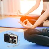 PRUNUS L-238 Portable Radio SW/FM/AM(MW)/MP3/USB/SD/TF Rechargeable with Neodymium Speaker. Large Button and Large Display. Stores Stations Automatically(Gold). (NO Manual Memory/Delete Stations Function)