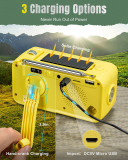 EU&UK  PRUNUS J-905 Radio Solar y Recargable, Radio Emergencia con Manivela, Am FM SW Radio Portatil Pequeña con Altavoz USB/Bluetooth de 5W, Banco de Energía de 3600 mAh, Lámpara Lectura&Linterna, SOS.{Ships to the UK and Europe only}
