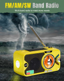 EU&UK  PRUNUS J-905 Radio Solar y Recargable, Radio Emergencia con Manivela, Am FM SW Radio Portatil Pequeña con Altavoz USB/Bluetooth de 5W, Banco de Energía de 3600 mAh, Lámpara Lectura&Linterna, SOS.{Ships to the UK and Europe only}