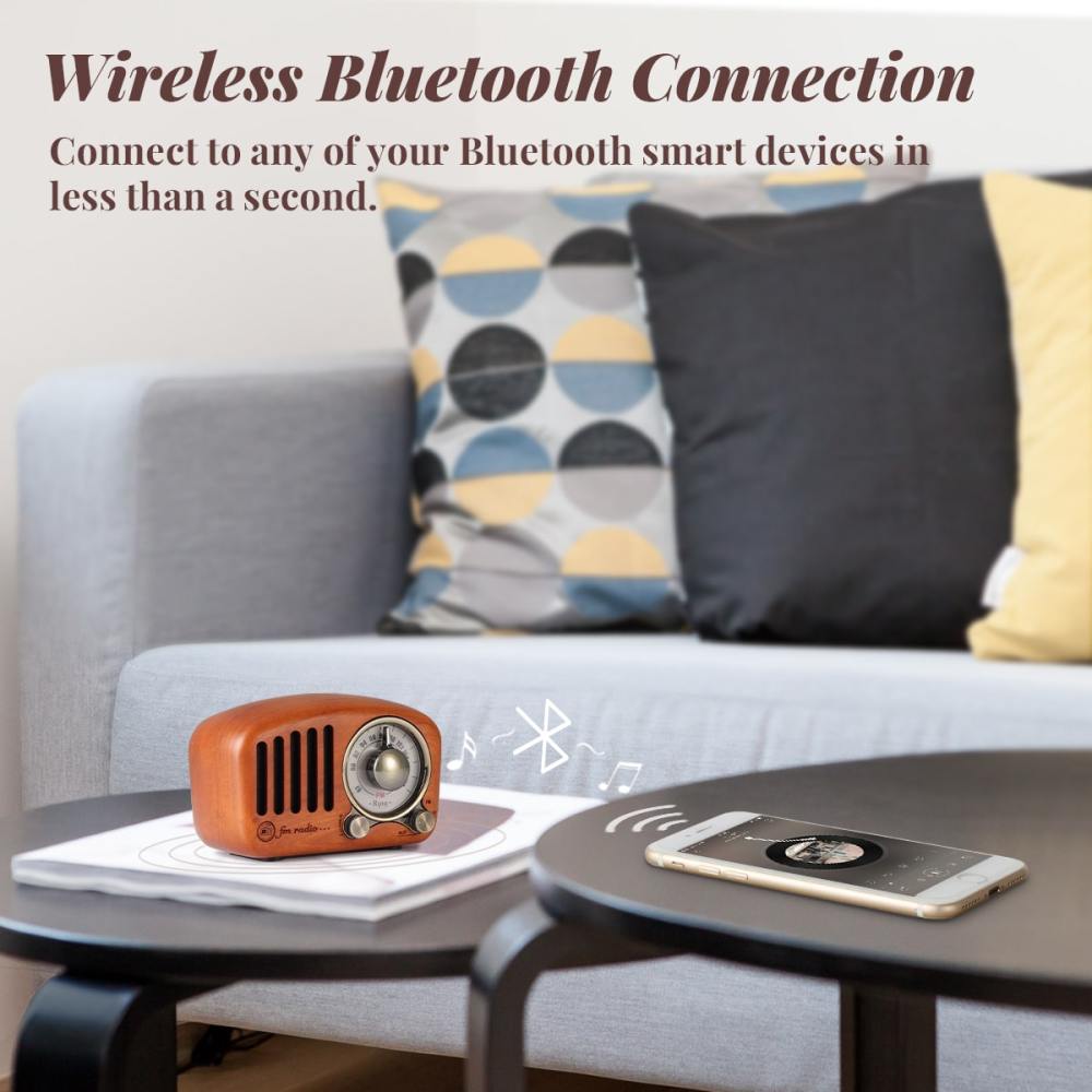 PRUNUS J-999 Enceinte Bluetooth Rétro Portable, Enceinte Radio FM