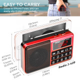 PRUNUS J-429SW Portable Radios Small AM/FM/SW, Rechargeable Radio with AUX/SD/TF/MP3 Speaker. Battery Operated Radio with Large Button and Large Display.Stores Stations Automatically. (NO DAB)