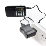 PRUNUS 5V1A USB DC Adapter with Indicator Light, Perfect for Radio, Speaker with Rechargeable Lithium Battery (5V/1A, Black)