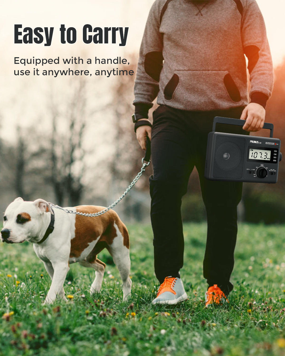 AM FM Portable Shortwave Radio with Best Reception,LCD Display