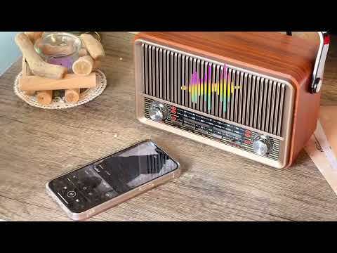  110 Radio Vintage Bluetooth + 150 Radio Retro